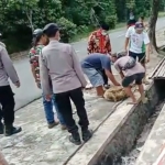 Warga Desa Tegalrejo saat menyembelih kambing untuk merayakan ditahannya Sekdes AA.