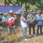 Penyerahan bibit pohon Sukun dari Perhutani dan PWI Tuban kepada Kepala Desa Maindu. foto: suwandi/BANGSAONLINE