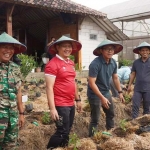 
Pj Wali Kota Batu, Aries Agung Paewai, beserta Forkopimda dan jajaran OPD Pemerintah Kota Batu, melakukan penanaman cabai di Pondok Labu Desa Pandanrejo, Kecamatan Bumiaji Kota Batu, Jumat (31/5/2024).