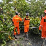 Petugas saat membersihkan pohon tumbang yang melintang di jalan. Foto: Ist. 