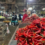 Beberapa harga sembako di Kota Batu hari ini melonjak, cabai merah besar paling tinggi. Foto: Sulthon/BANGSAONLINE.