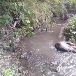 Kondisi sungai di Dusun Kemranggen, Desa Winong, Kecamatan Gempol, Kabupaten Pasuruan, yang kerap meluap akibat pendangkalan.