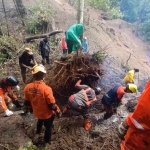 Tim gabungan berjibaku membersihkan material akar pohon akibat longsor