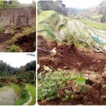 Kawasan yang longsor hingga kini belum dilakukan penanganan.