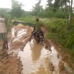 Akses jalan di Desa Batoporo yang ditanami pisang oleh warga.