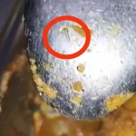 Tangkapan layar video viral saat siswa SMAN 3 Pamekasan menemukan belatung dalam makanan MBG.