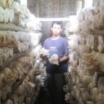 PROSPEK. Joko Pitono (27) saat menunjukan usahanya budidaya jamur tiram. Prospek bisnis itu menjajikan, omset pertahun mencapai 100 juta. Foto: Eky Nurhadi/BANGSAONLINE