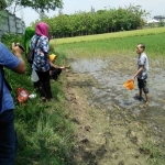 Petugas DLH Bojonegoro saat mendatangi sawah yang diduga tercemar limbah JOB P-PEJ.