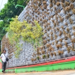 MATI: Bunga di taman vertikal garden yang berada di barat Alun-alun Bojonegoro terlihat kering dan mati. foto: EKY NUR HADI/BANGSAONLINE