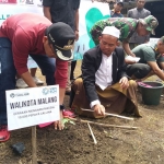 Wali Kota Malang Sutiaji didampingi Ust. Nuril Ashuri bersama Danrem 083/BJ Kol. Inf Zainudin menanam bibit pepaya Callina di Dusun Baran Kelurahan Buring Kedungkandang Kota Malang, Minggu (12/01/20). foto: IWAN IRAWAN/ BANGSAONLINE