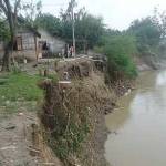 RAWAN LONGSOR: Tampak tanggul Sungai Bengawan Solo di Bojonegoro yang rawan longsor air sungai meluap. Foto: Eky nurhadi/BANGSAONLINE