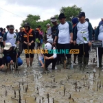 Gubernur Jawa Timur, Khofifah Indar Parawansa, saat menanam mangrove di Sampang. Foto: MUTAMMIM/BANGSAONLINE