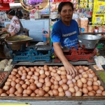 Salah satu pedagang telur di Kota Kediri. Foto: Ist