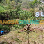 Kawasan wisata alam Sumber Podang yang selalu ramai pengunjung, terutama pada hari Sabtu-minggu (foto: Muji Harjita)