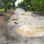 Kondisi JPD yang menghubungkan Desa Gredek - Sumari, Kecamatan Duduksampeyan terlihat banyak lubang serta digenangi air hujan.
