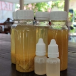 Jamu tangkal Covid-19 resep praktisi herbal untuk meningkatkan imunitas.