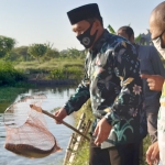 BIDIK POTENSI: Bambang Haryo Soekartono (BHS) melihat budidaya ikan air tawar di Desa Dukuh Tengah Buduran, Senin (29/6). foto: MUSTAIN/ BANGSAONLINE