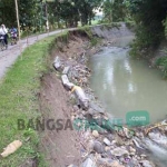 Kondisi plengsengan sungai Marmoyo di Dusun Kayen, Desa Kedungjati, Kecamatan Kabuh yang ambrol. foto: ROMZA/ BANGSAONLINE 