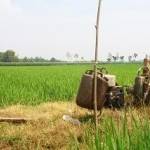 Petani airi sawah dengan menyewa diesel.