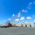 PT Varia Usaha Beton memasok 2.630 unit pemecah gelombang jenis tetrapod di Pulau Fani, Raja Ampat, Papua Barat Daya. Foto: Ist