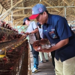 Public Relation & Corporate Social Responsibility Management Officer SIG Pabrik Tuban, Luksono, bersama tim media saat monev di program ayam petelur.