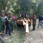 Barang bukti belasan batang kayu dan motor yang digunakan dalam aksi pembalakan liar di kawasan Perhutani Jatirogo Tuban diamankan