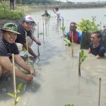 Penanaman mangrove yang dilakukan oleh PT Cargill Indonesia-Cocoa & Chocolate di kawasan Kalimireng, Manyar, Gresik. Foto: Ist