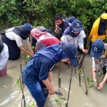 Penanaman 10 ribu bibit pohon mangrove oleh komunitas peduli lingkungan di Pantai Trimulyo, Kecamatan Genuk, Kota Semarang, Ahad (15/12). 