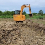 Lahan mati yang disulap jadi lahan produktif.