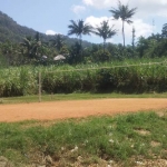 Lapangan Bola Voli Desa Watuagung Kec. Watulimo Kab. Trenggalek. foto: HERMAN/ BANGSAONLINE