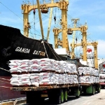 Kapal-kapal besar yang sandar di TUKS Petrokimia siap mengangkut pupuk. foto: SYUHUD/ BANGSAONLINE