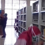 Sejumlah pengunjung Perpustakaan Kota Probolinggo sedang mencari buku.