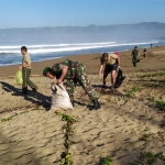 Dandim Pacitan dan anggota saat melaksanakan aksi pungut sampah di pantai Pancer Door.