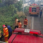 Tim Damkar Gresik saat memadamkan kebakaran rumput ilalang di lahan kosong. Foto: Ist