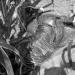 Kondisi mayat yang ditemukan warga di Dusun Babatan, Desa Sumberjo, Kecamatan Wonosalam, Jombang.