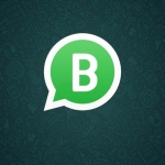 WhatsApp Business. Foto: Ist