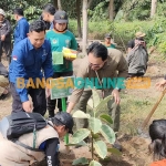 Kepala Dinas Kehutanan Jawa Timur, Jumadi, saat melakukan penanaman ficus elastica. Foto: MUJI HARJITA/ BANGSAONLINE