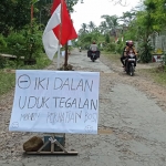 Pohon pisang yang ditanam warga di Jalan Desa Ngrendeng untuk mencegah warga terperosok lubang jalan.