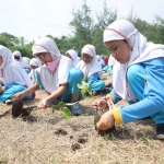 Siswa SD Al Muslim menanam bibit mangrove di Ekowisata Mangrove Wonorejo Surabaya, Senin (9/1/2023). foto ist