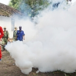 Petugas saat melakukan fogging. foto: ist.