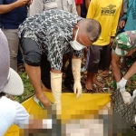 Petugas saat mengevakuasi mayat yang ditemukan warga di pinggir Sungai Bondoyudo, Jember.