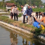 Jenazah korban saat dievakuasi dari dalam kolam ikan koi.