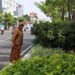 Risma saat meninjau tanaman di separator FR sisi barat.
