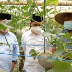 Gus Barra (tengah) saat mengunjungi Wisata Green House Petik Buah Melon.