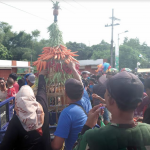 Dua gunungan sedekah bumi Desa Medali setelah diarak siap direbutkan ratusan warga.