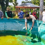 Kepala Lapas Kelas II A Kediri, Solichin, saat menebar bibit lele. Foto: Muji Harjita.