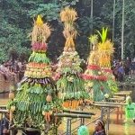 Empat tumpeng gunungan kecil berisi hasil bumi ditata di tengah kolam, untuk selanjutnya diperebutkan warga. Foto: Muji Harjita.