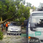 Petugas melakukan pemotongan batang untuk menyingkirkan pohon. foto: TUHU/ BANGSAONLINE
