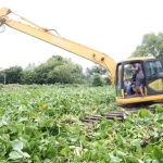 Backhoe amphibi saat melakukan pembersihan eceng gondok.