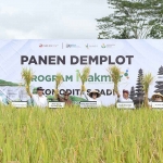 Direktur Operasi & Produksi Petrokimia Gresik, Digna Jatiningsih (empat dari kanan) saat panen raya. Foto: Ist.